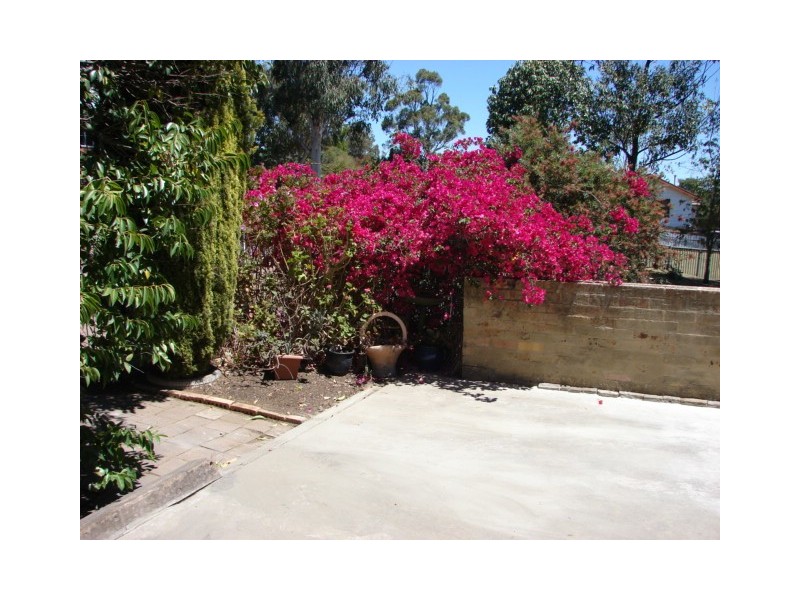 12 Tarakan Ave, Muswellbrook NSW 2333