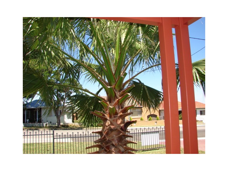 22 Wilson Street, Muswellbrook NSW 2333