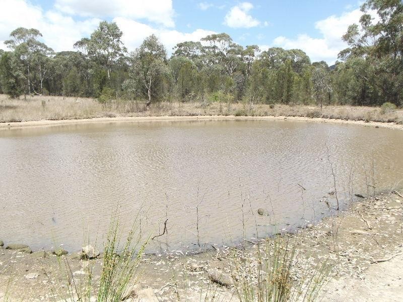 470 Merriwa Road, Denman NSW 2328