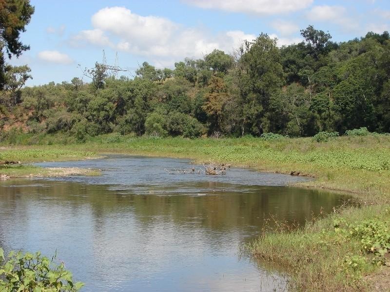 1265 Gundy Road, Scone NSW 2337