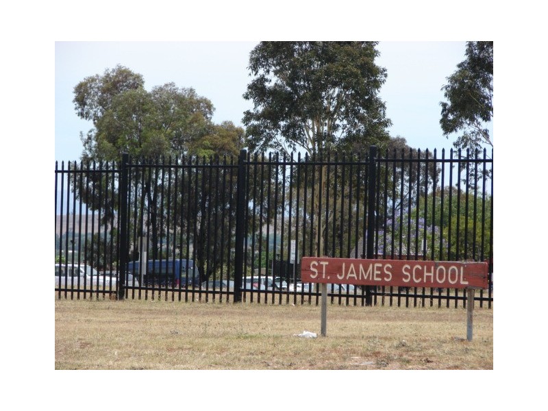 48 Finnegan Crescent, Muswellbrook NSW 2333