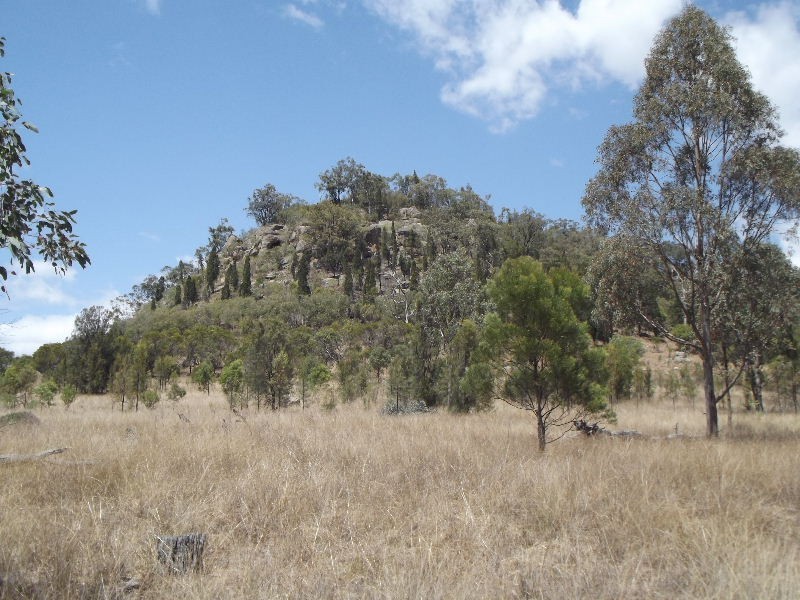 470 Merriwa Road, Denman NSW 2328