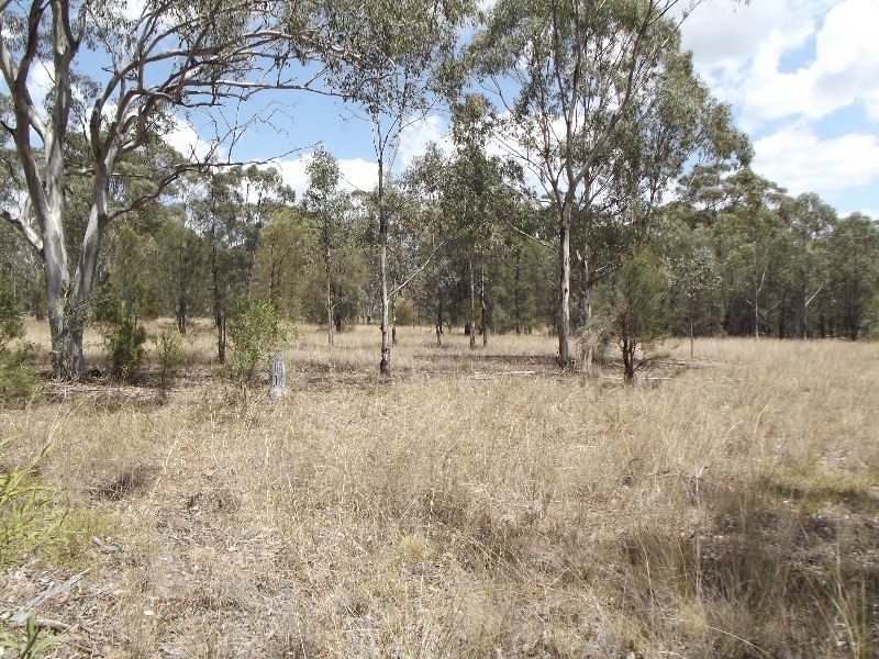 470 Merriwa Road, Denman NSW 2328