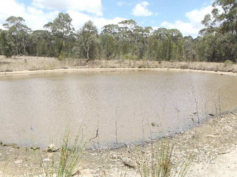 470 Merriwa Road, Denman NSW 2328