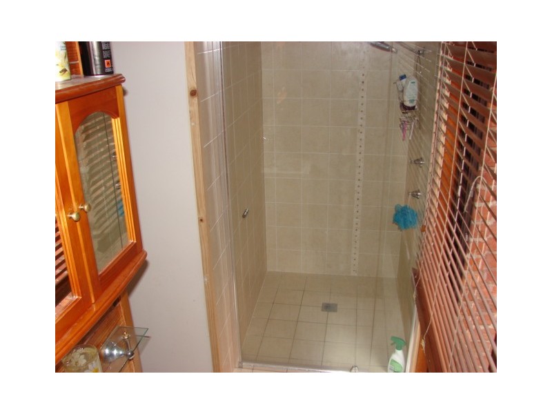 12 Eucalypt, Muswellbrook NSW 2333