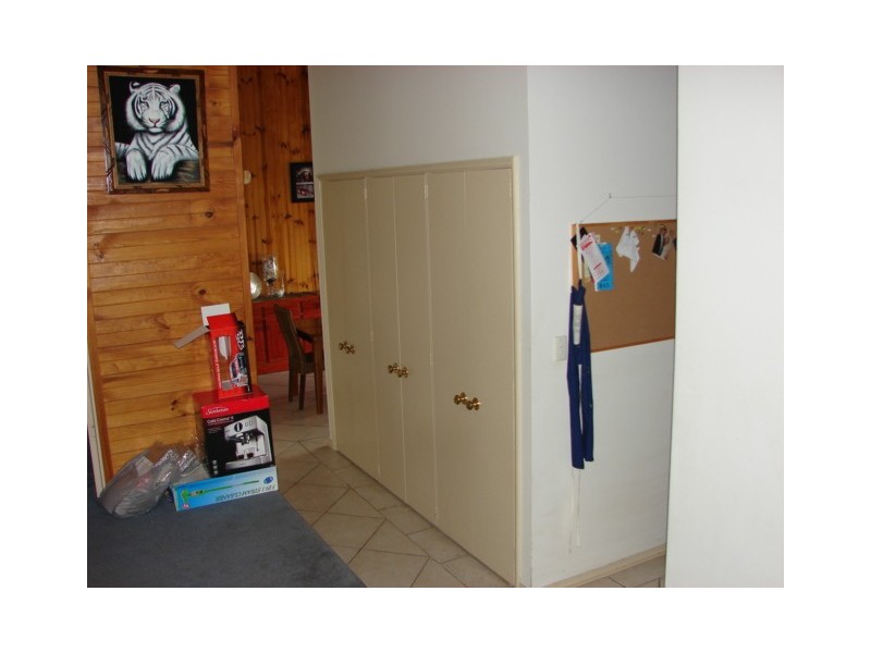 12 Eucalypt, Muswellbrook NSW 2333