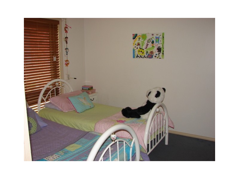 12 Eucalypt, Muswellbrook NSW 2333