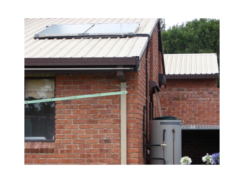 12 Eucalypt, Muswellbrook NSW 2333