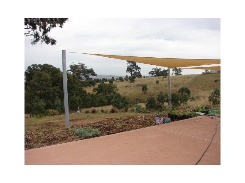 99 Ironbark Road, Muswellbrook NSW 2333