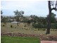 99 Ironbark Road, Muswellbrook NSW 2333