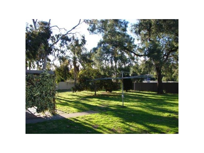 Muswellbrook NSW 2333