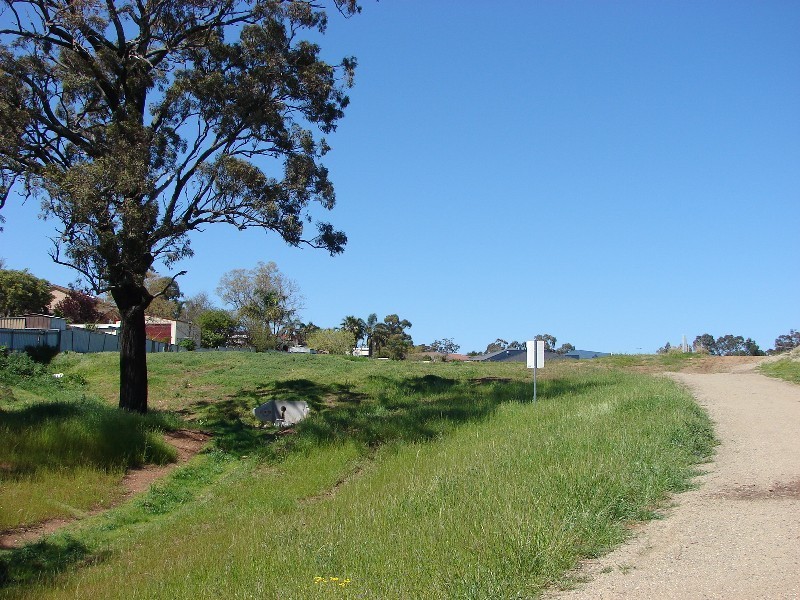 100 Skellatar Stock Route, Muswellbrook NSW 2333