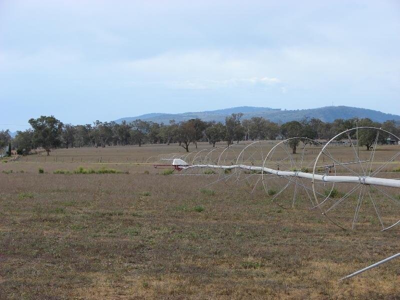 Aberdeen NSW 2336