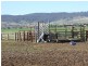 Denman NSW 2328
