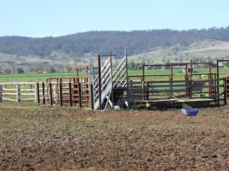 Denman NSW 2328