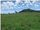 Denman NSW 2328