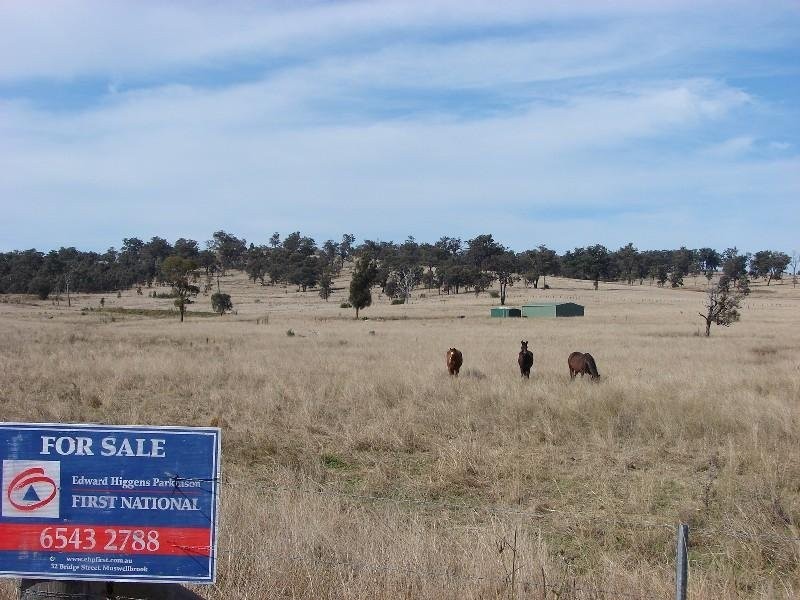 1431 Wybong Road, Muswellbrook NSW 2333