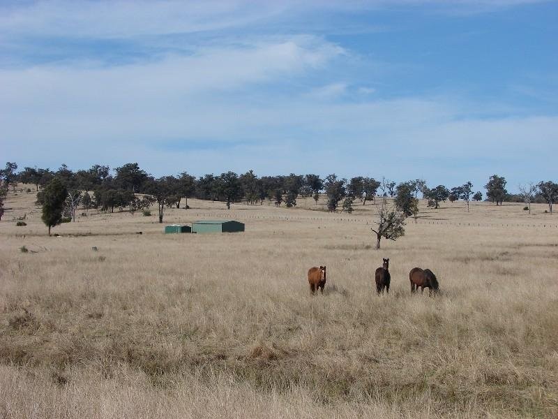 1431 Wybong Road, Muswellbrook NSW 2333