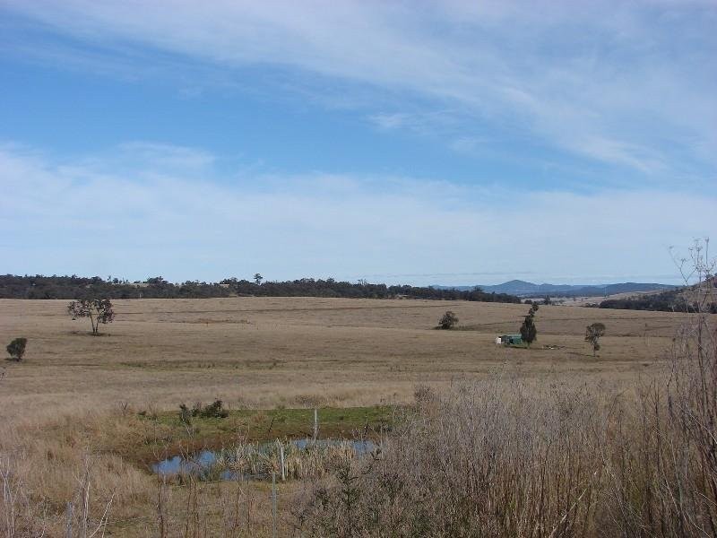 1431 Wybong Road, Muswellbrook NSW 2333