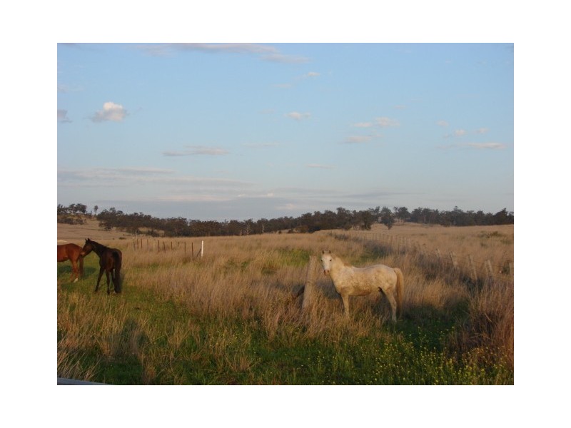 1431 Wybong Road, Muswellbrook NSW 2333