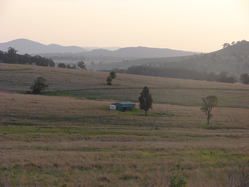 1431 Wybong Road, Muswellbrook NSW 2333