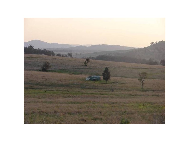 1431 Wybong Road, Muswellbrook NSW 2333