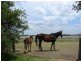 9 Sheppard Ave, Muswellbrook NSW 2333