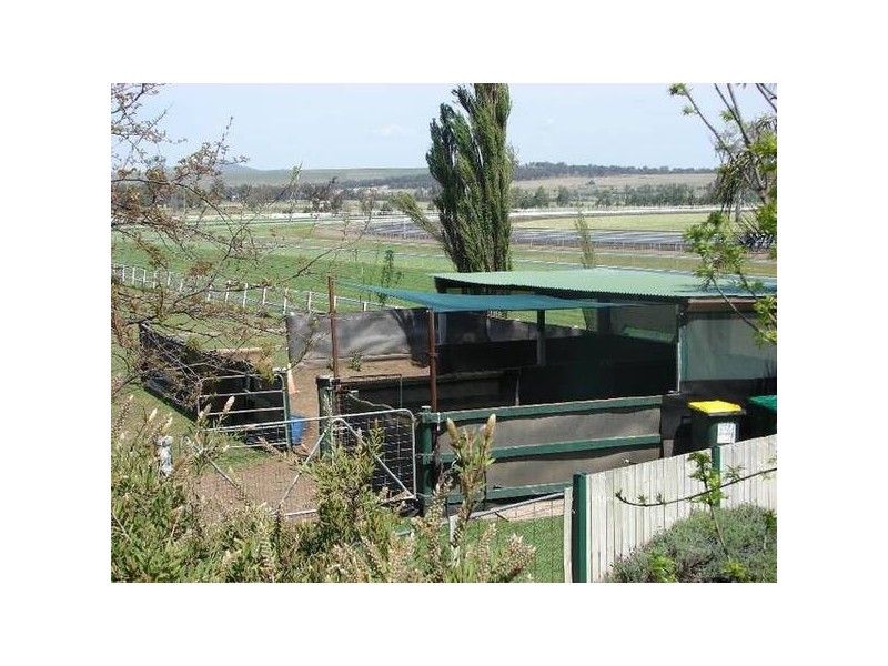 9 Sheppard Ave, Muswellbrook NSW 2333