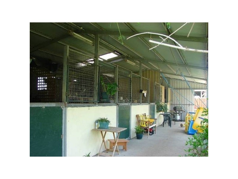 9 Sheppard Ave, Muswellbrook NSW 2333