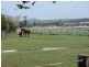 9 Sheppard Ave, Muswellbrook NSW 2333