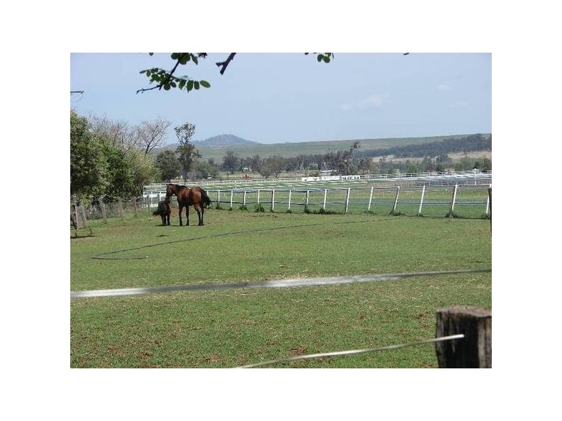 9 Sheppard Ave, Muswellbrook NSW 2333