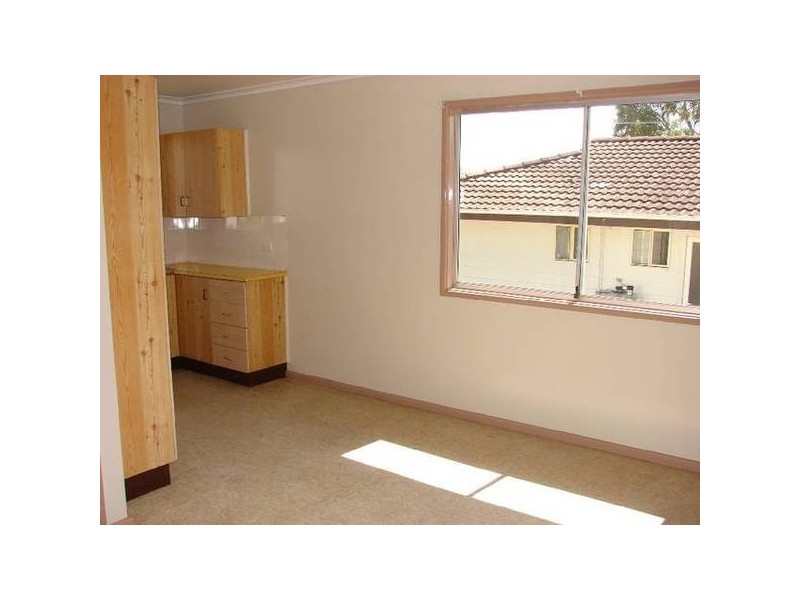 2 Dangar Place, Muswellbrook NSW 2333