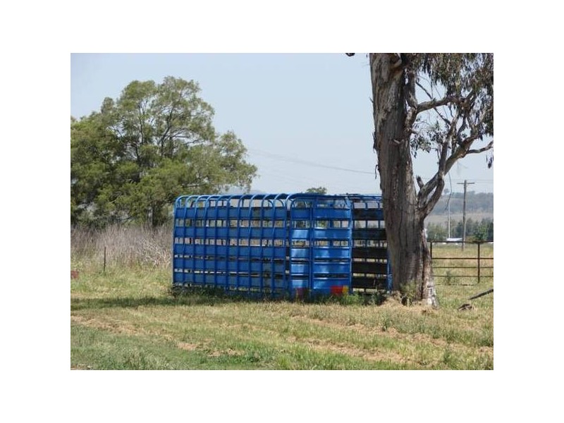 161 Logues Lane, Muswellbrook NSW 2333