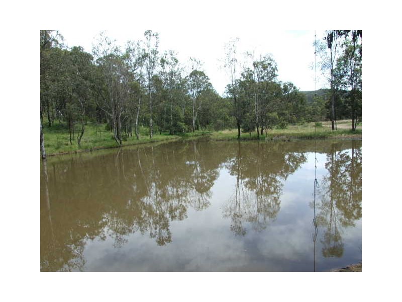 1365 Giants Creek Rd, Sandy Hollow NSW 2333