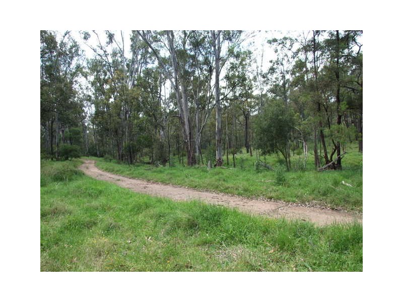 1365 Giants Creek Rd, Sandy Hollow NSW 2333
