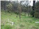1365 Giants Creek Rd, Sandy Hollow NSW 2333