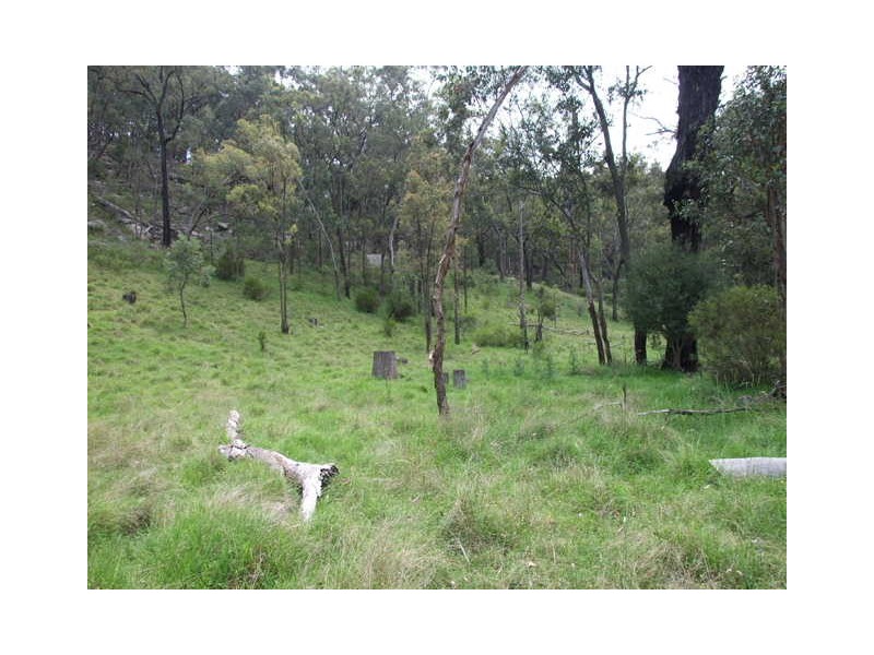 1365 Giants Creek Rd, Sandy Hollow NSW 2333