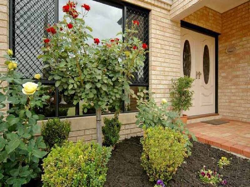 Tipuana Mews, Ellenbrook WA 6069