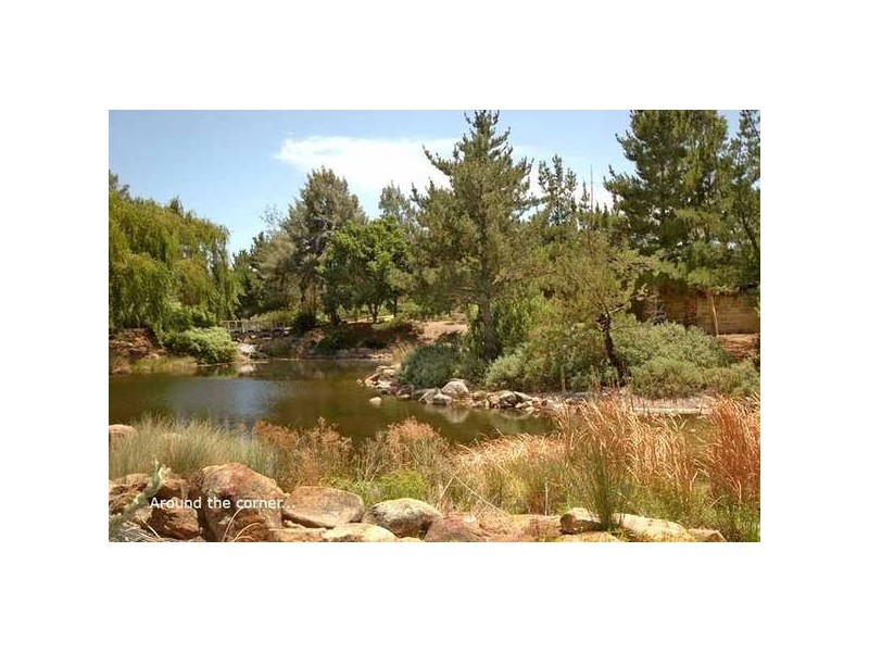 19 Wattlebird Crescent, Ellenbrook WA 6069