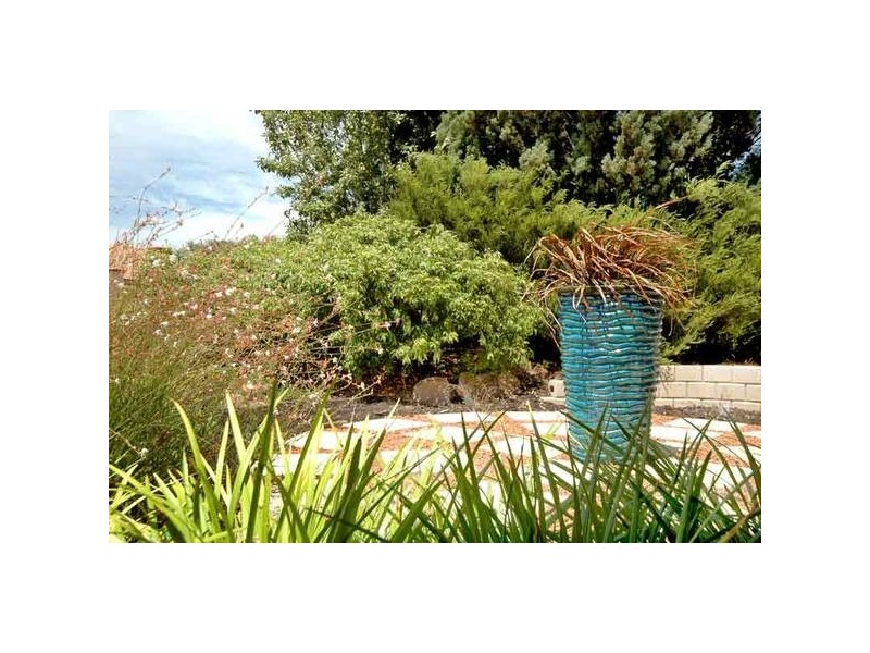 19 Wattlebird Crescent, Ellenbrook WA 6069