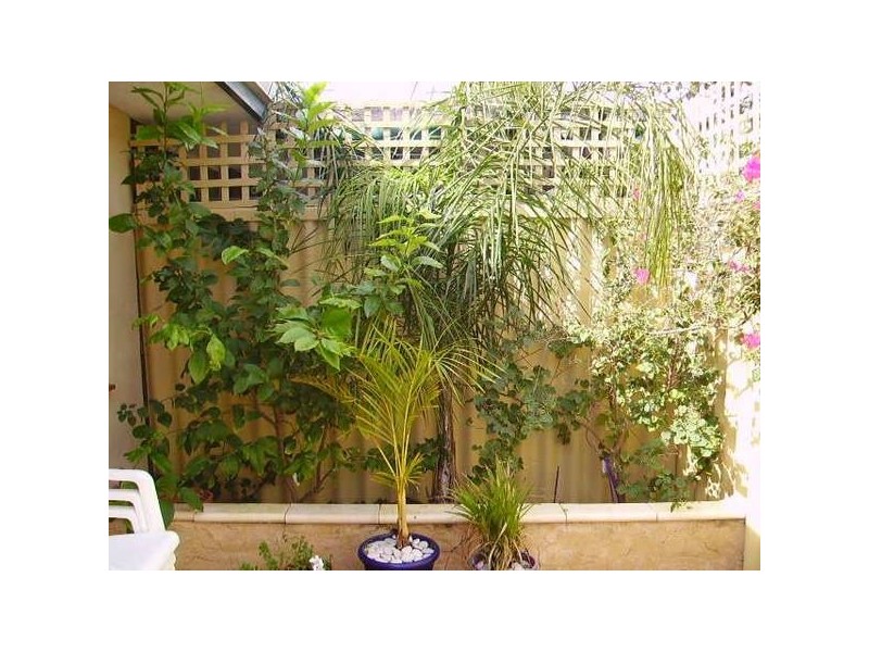 2/72 Waterloo Street, Joondanna WA 6060