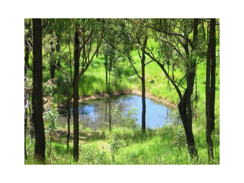 354 Cawarral Road, Cawarral QLD 4702