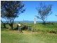 16 Arthur Street, Zilzie QLD 4710