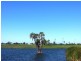 10 San Marino Way, Zilzie QLD 4710