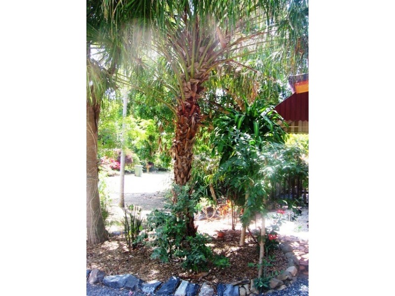 10 Sunflower Street, Kinka Beach QLD 4703