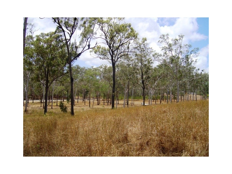Lot 6 Murray Lane, Cawarral QLD 4702