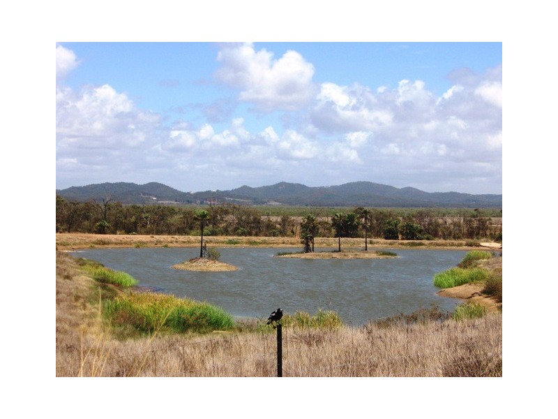 46 The Ridge Way, Zilzie QLD 4710