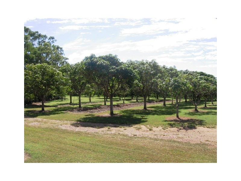 228 Hoffmans Road, Coowonga QLD 4702