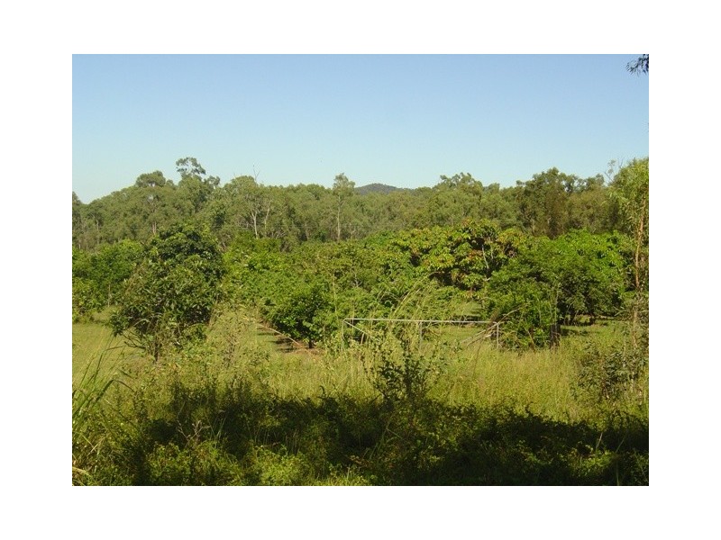 80 Fryer Road, Tungamull QLD 4702