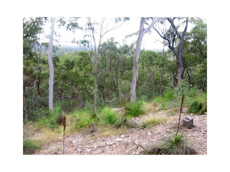 378 Coorooman Creek Road, Cawarral QLD 4702